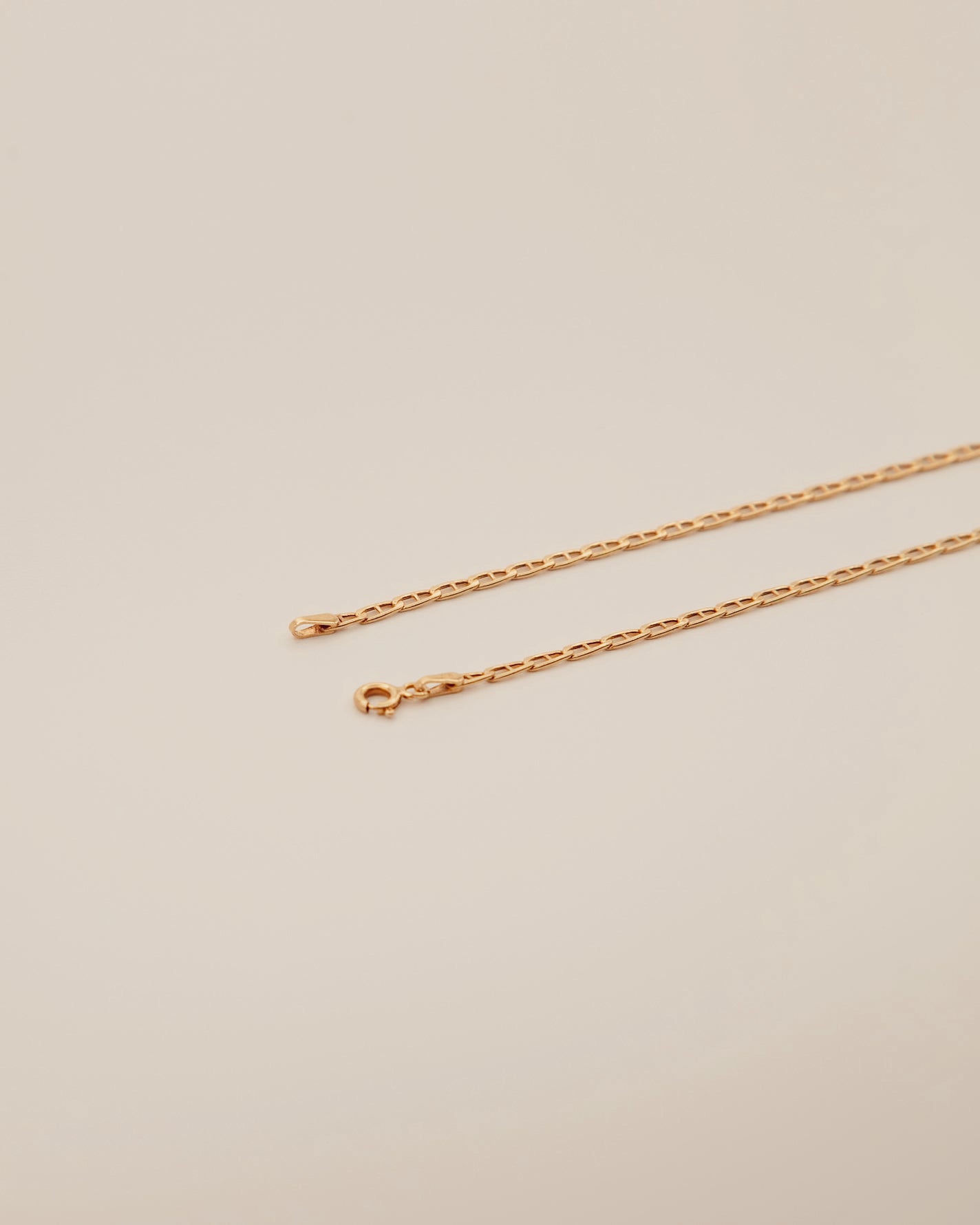 Petite Mariner Chain Necklace