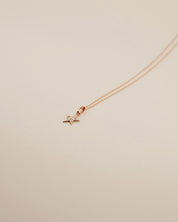 Petite Star Necklace